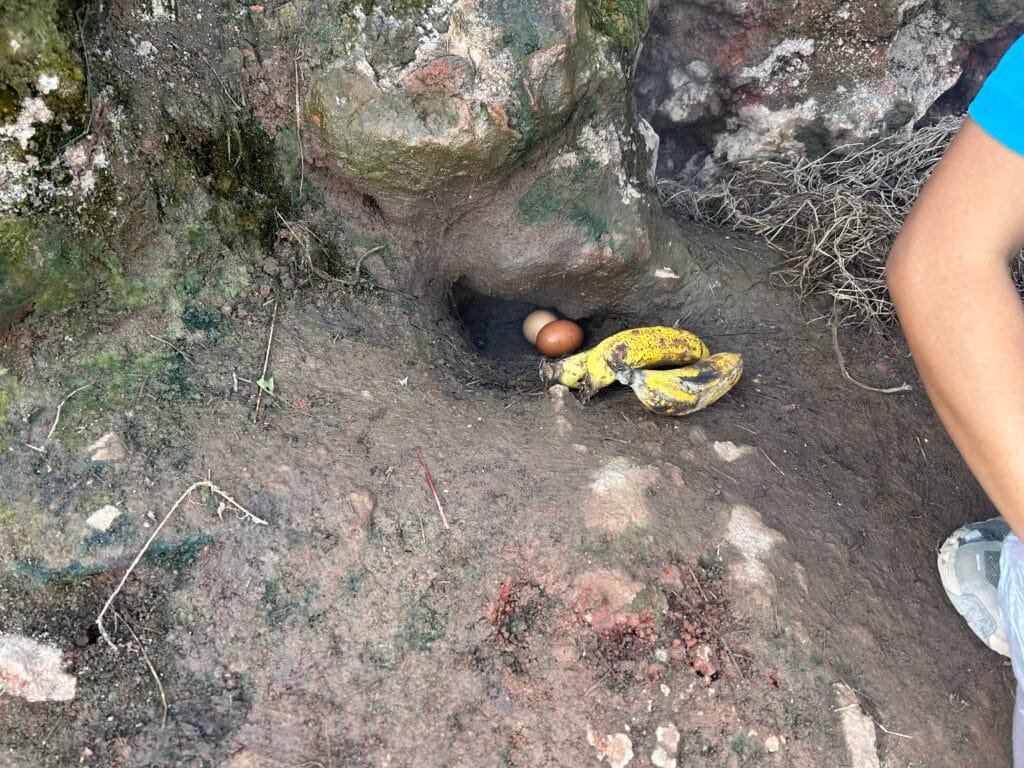 Eggs and Banana being cooked in the volcano steam