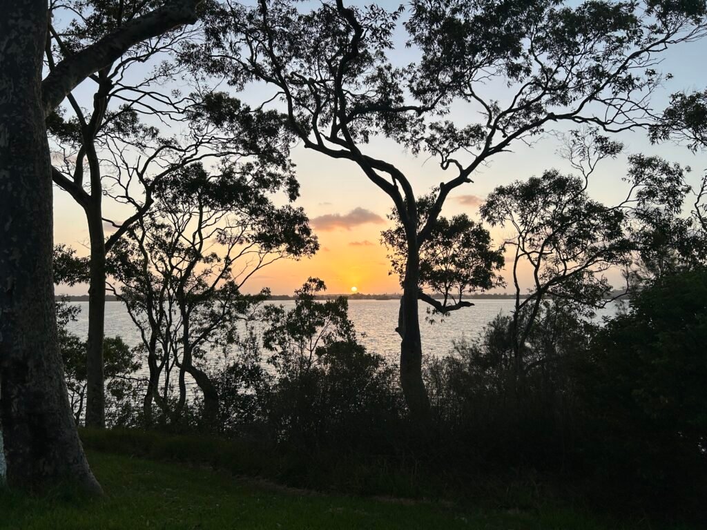 sunrises behind trees over lake macquarie at wangi point holiday park